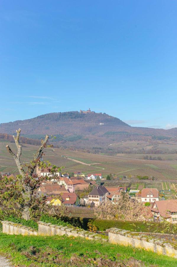Gite La Rodernelle - Sauna Privatif - Climatisation - Vue Sur Le Chateau Du Haut Koenigsbourg Dış mekan fotoğraf